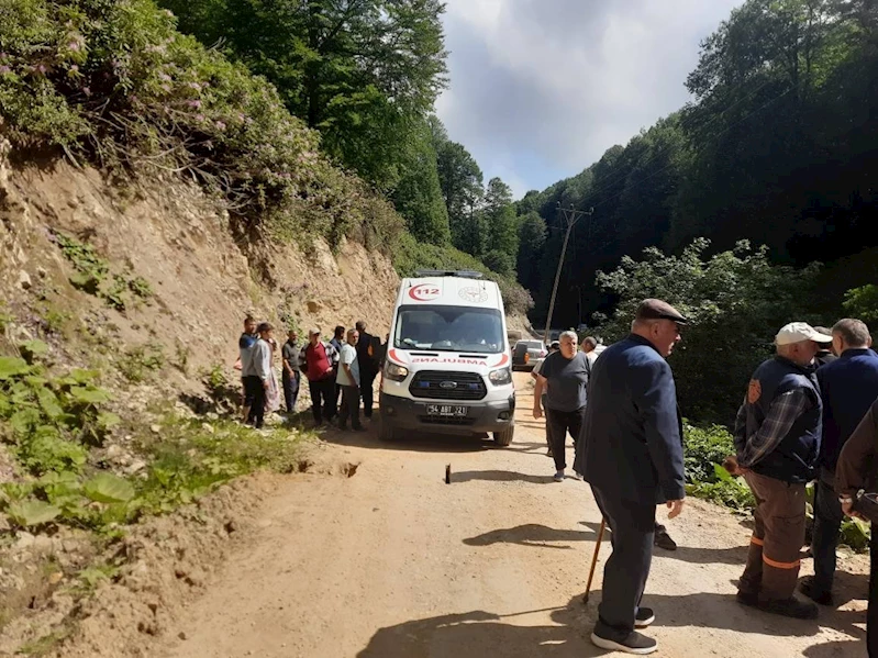 Kontrolden çıkan pat pat, dereye devrildi: 2 yaralı
