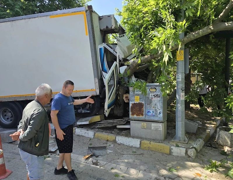Erdek Ocaklar’da kaza: Freni patlayan kamyon ağaca çarptı
