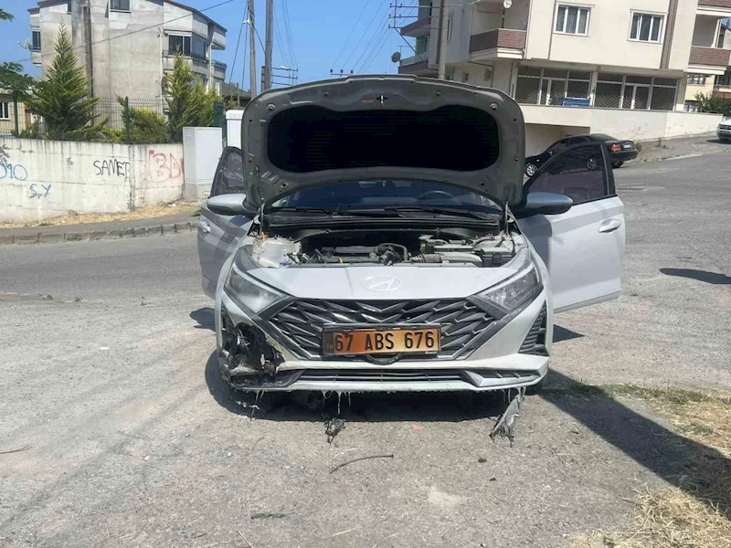 Kopan elektrik telleri otları, otlarda aracı yaktı
