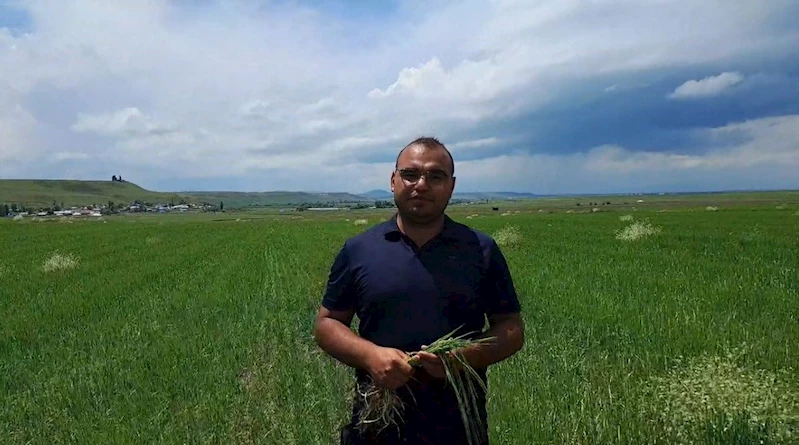 Kars’ta etkili olan dolu tarım arazilerine zarar verdi
