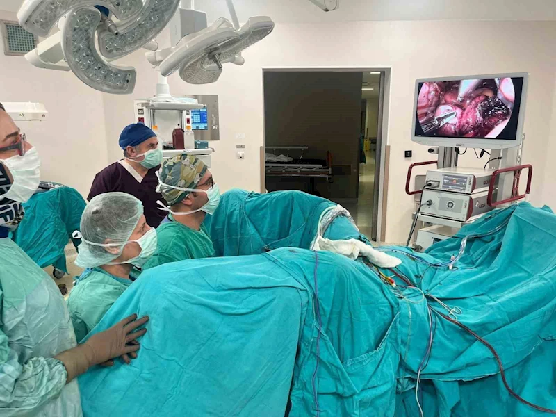Dr. Şanlı: 