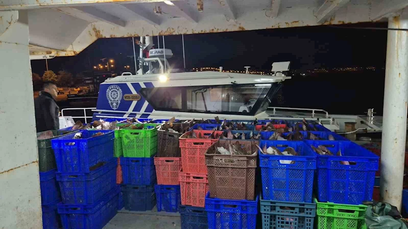 Samsun açıklarında 6 ton kaçak kalkan balığı ele geçirildi
