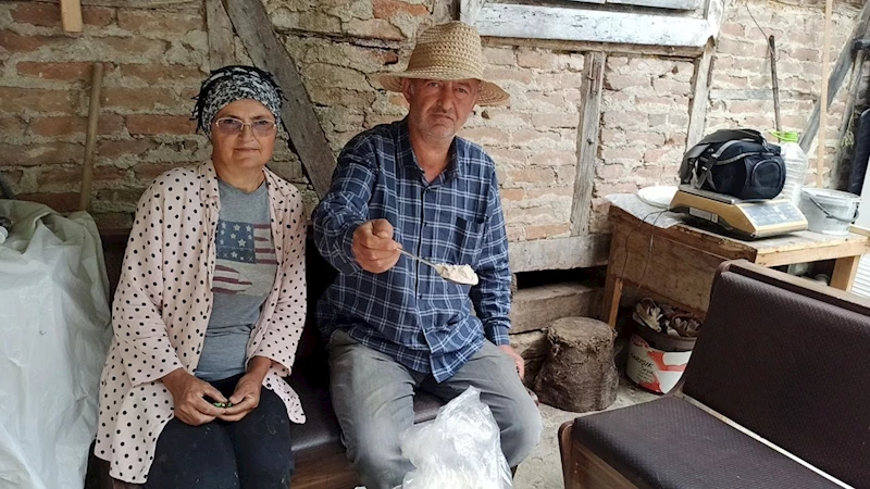 İstanbul’dan memlekete dönen iki kardeş, 10 dönümlük arazide salep bitkisi yetiştiriyor
