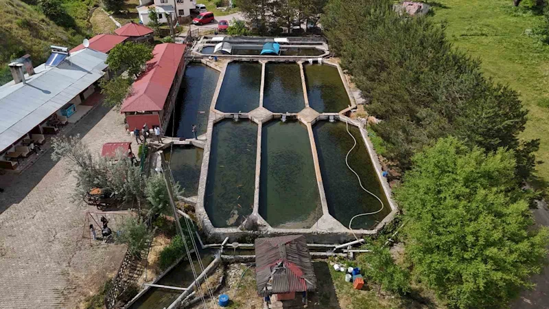 Denize kıyısı olmayan Sivas’ta üretilen balıklar dünyaya pazarlanıyor

