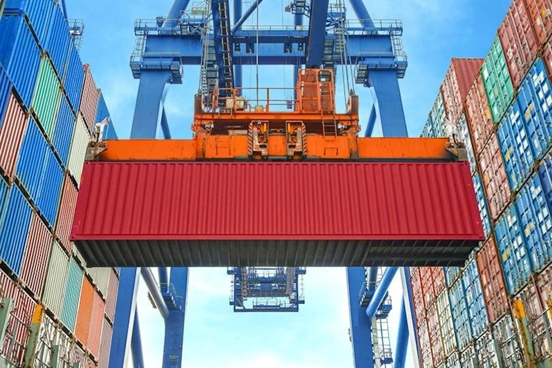 Düzce’den 8 bin 99,5 ton orman ürünü ihraç edildi
