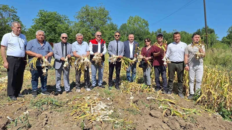 Zonguldak’ta ilk kez makineli sarımsak hasadı gerçekleştirildi
