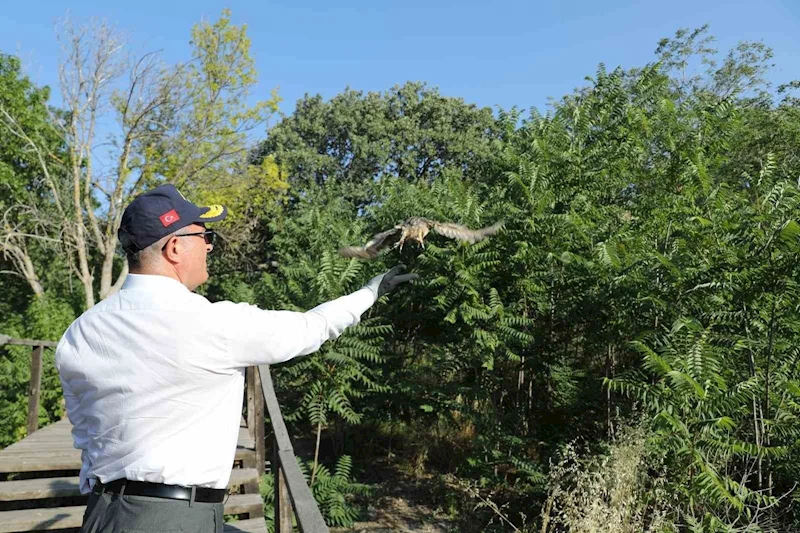 Vali Toraman sağlığına kavuşan kuşları doğal ortamına saldı
