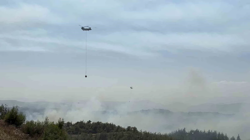 Adana’da orman yangını kontrol altında: 6 gözaltı

