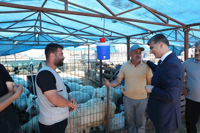 Akdeniz’de kurban satış yerleri hazır
