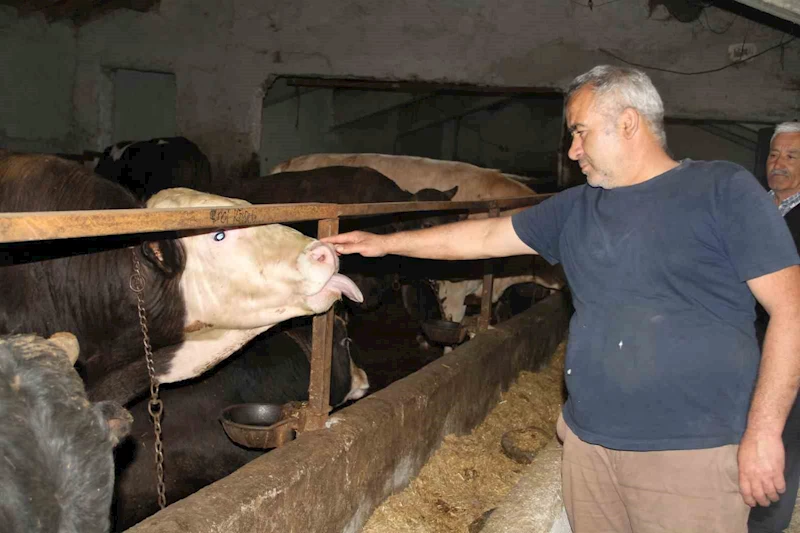 Başkentliler kurbanlık alımında fiyatların daha düşük olduğu Çankırı’yı tercih ediyor
