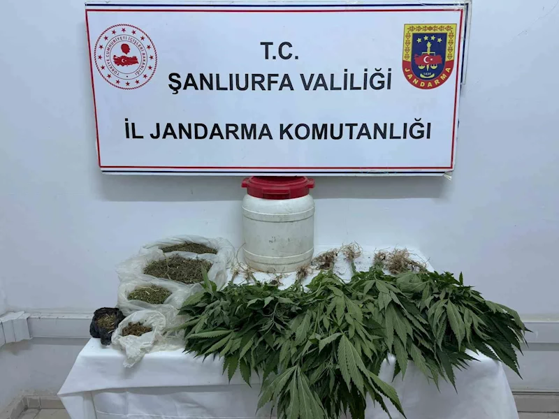 Suruç’ta uyuşturucu ele geçirildi
