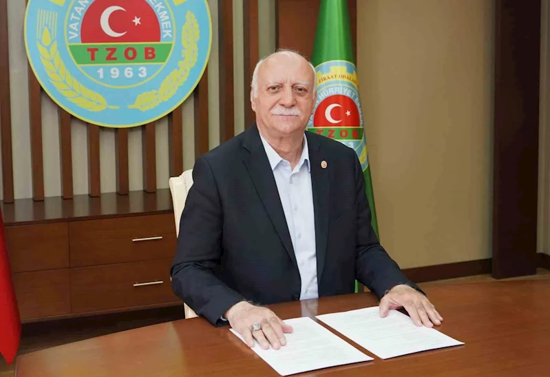 Kurbanlık fiyatları
