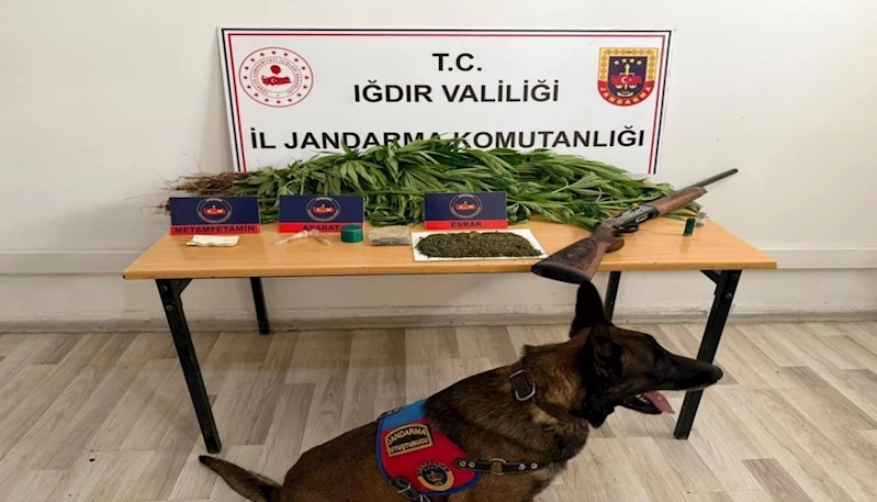 Iğdır’da jandarmadan uyuşturucu operasyonu: 1 kişi tutuklandı
