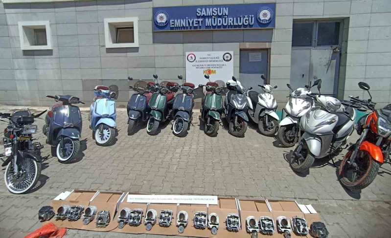 Samsun merkezli 6 ilde 