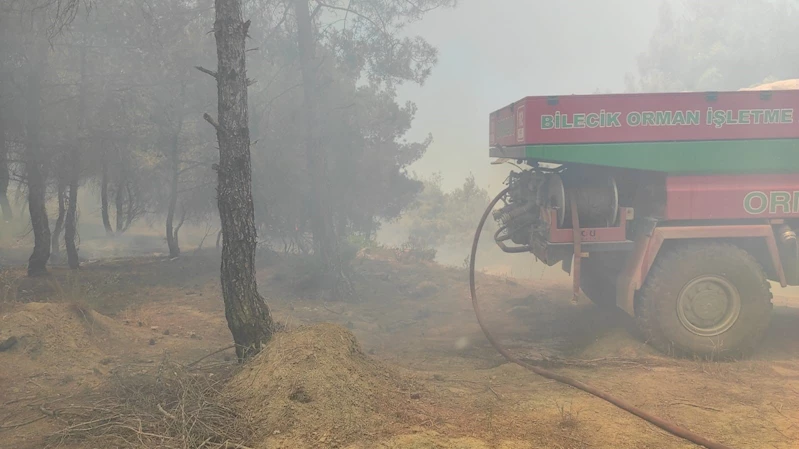 Bilecik’te buğday tarlasında çıkan yangın ormanlık alana sıçradı
