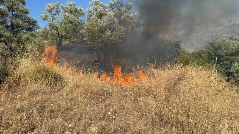 Aydın’da zirai alanda yangın çıktı
