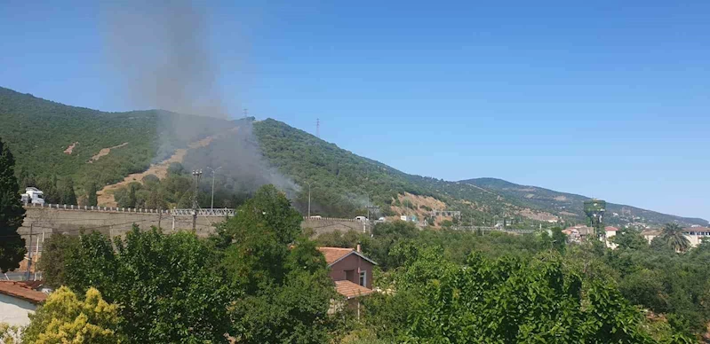 TEM Otoyolu kenarında başlayan yangın ormana sıçradı: 2 saatte söndürüldü
