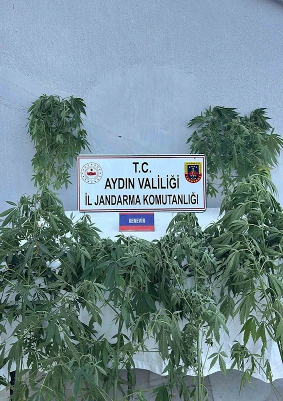 Jandarmada uyuşturucu operasyonu: 16 gözaltı
