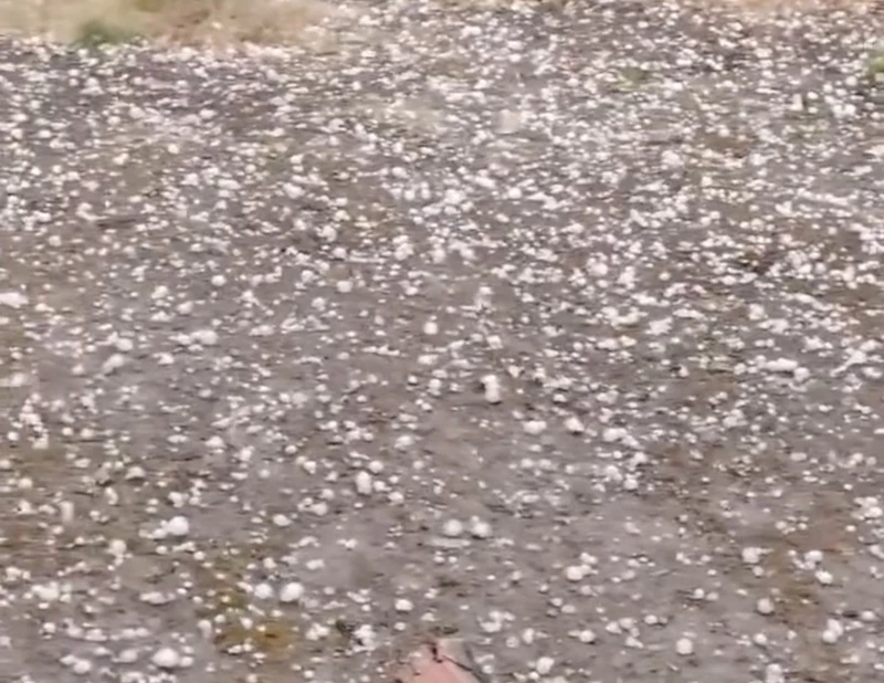 Edirne’de dolu yağışı etkili oldu

