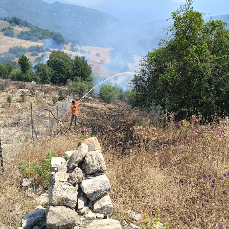 Antalya’da ormanlık alanı tehdit eden yangına müdahale ediliyor
