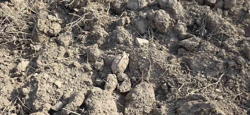 Tarlada Sakarya Meydan Muharebesinden kalma patlamamış el bombası buldu
