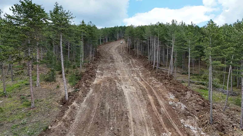 Kastamonu’da ormanları yangınlardan korumak için emniyet yolu çalışmaları sürüyor
