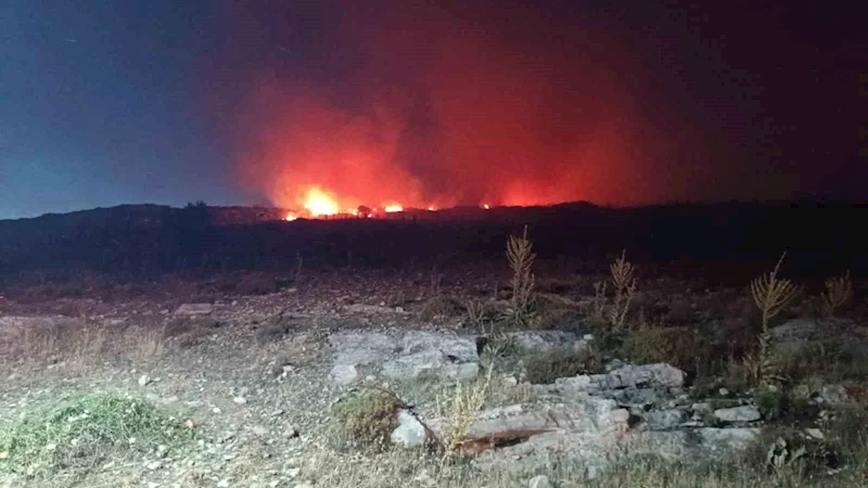 Menemen’de makilik alanda yangın
