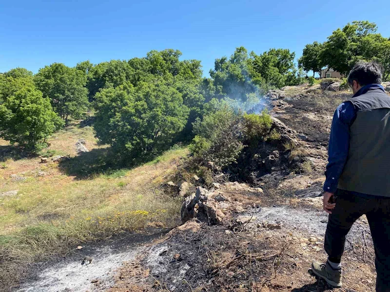 Tunceli’de yangın köye sıçramadan engellendi
