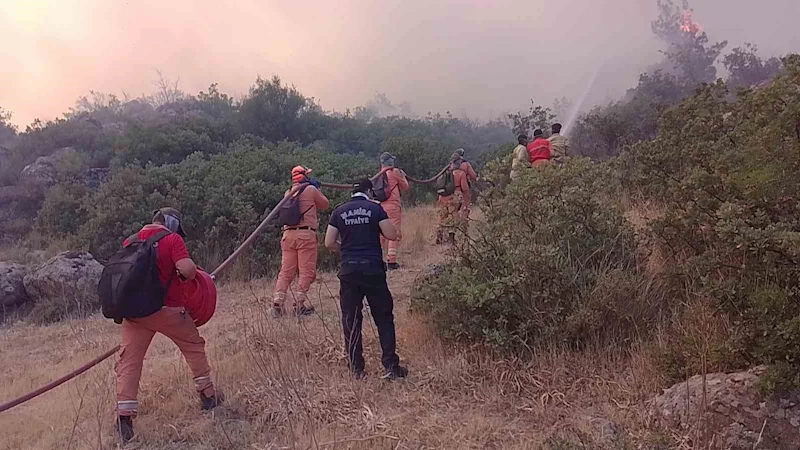 Alevlerin içinde hayatta kalma mücadelesi
