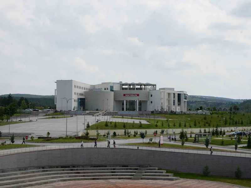Kastamonu Üniversitesi, Times Higher Education etki sıralamasında yer aldı
