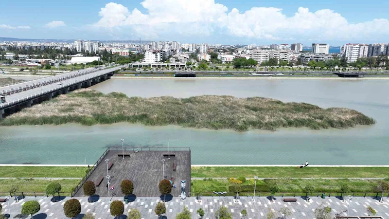 Boğaçayı’nda 220 kuş türü gözlemlendi
