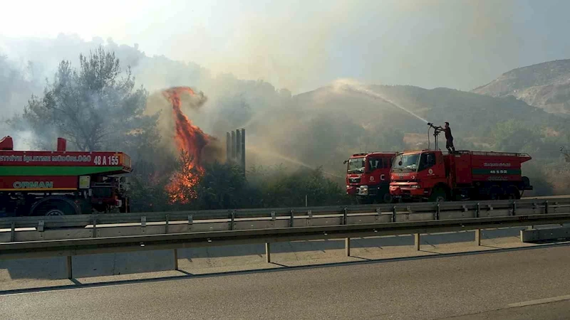 Söke’deki yangın kontrol altına alındı
