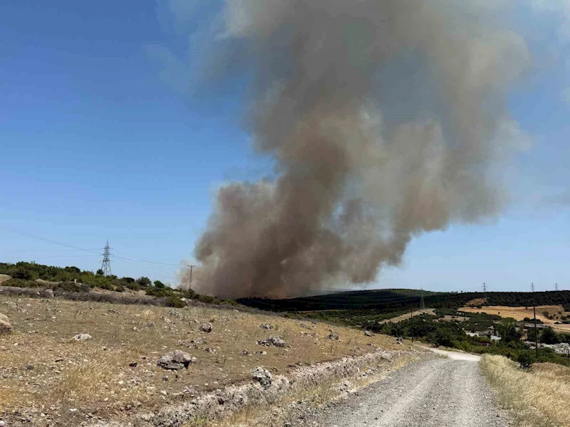Ezine’de tarım arazisinde başlayan yangın ormanlık alana sıçradı
