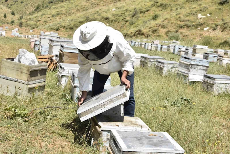 Kuraklık Bitlisli arıcıları kara kara düşündürüyor
