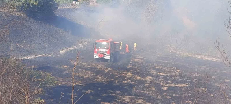 Çan’da tarım arazisinde yangın çıktı
