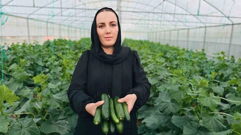 Irak’tan Yüksekova’ya uzanan başarı öyküsü
