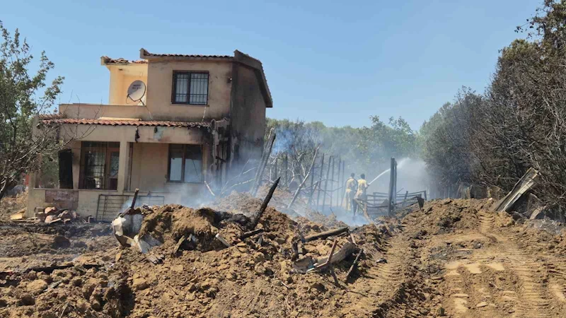 Tekirdağ’da çıkan yangın 2 eve sıçradı, 100 dönüm alan kül oldu
