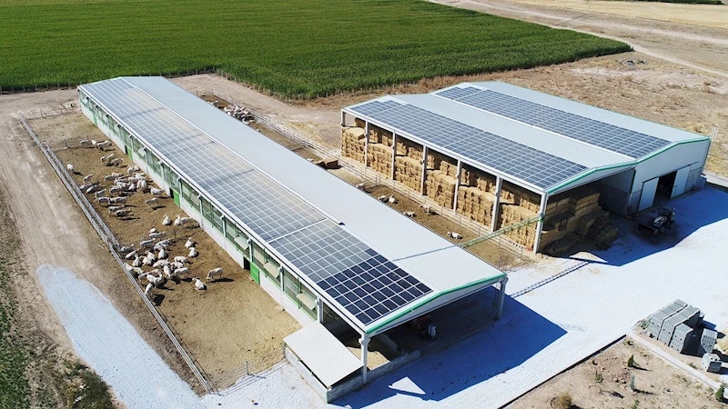 Denizli tarımına 87.4 milyonluk destek
