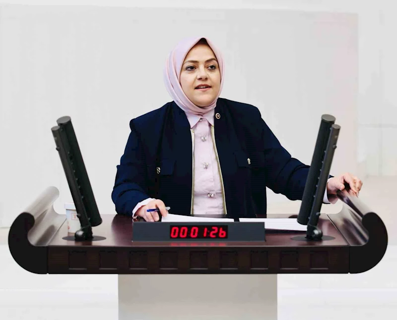Milletvekili Ün; 