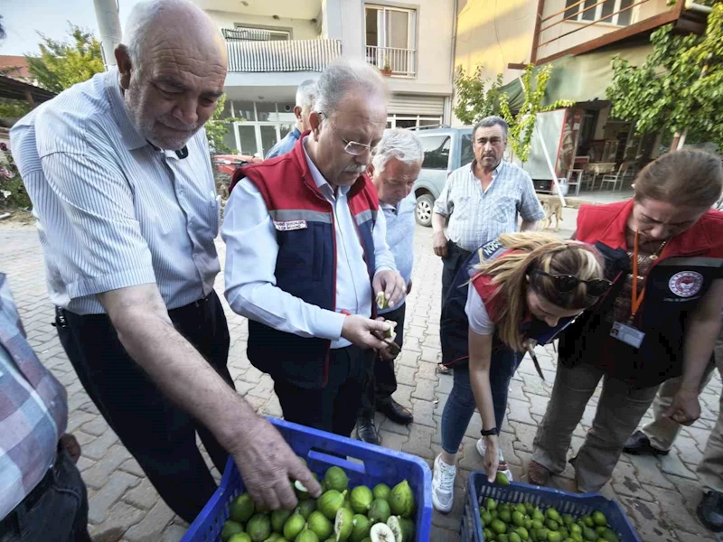 Karacasu’da üreticiye kaliteli ilek uyarısı
