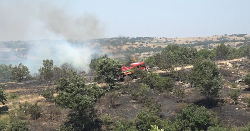 Kırklareli’nde ceviz bahçesi ve orman alanında yangın
