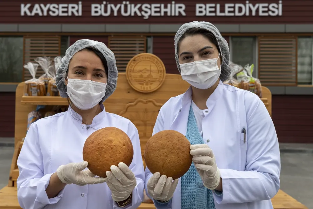 Kayseri’nin Gacer buğdayı Türkiye gündeminde