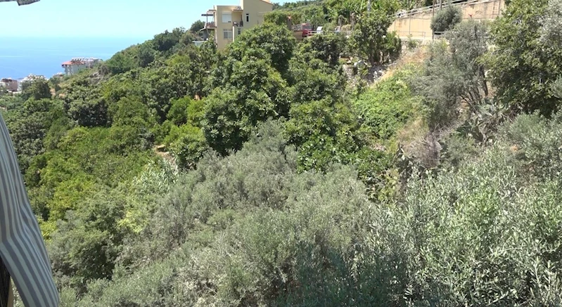 Alanya’da apartmana giren yılana kafa tutan sokak kedisi evin bekçisi oldu
