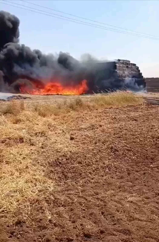 Mardin’de çıkan yangında 25 ton saman ve 300 sulama borusu yandı
