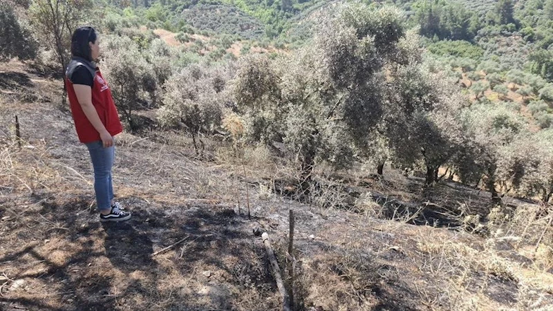 Yeşilyurt’taki yangında zarar gören tarım alanlarında hasar tespit çalışması yapıldı
