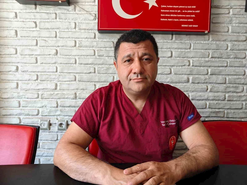 Uzmanı uyardı: Sıcak hava keneleri agresifleştiriyor