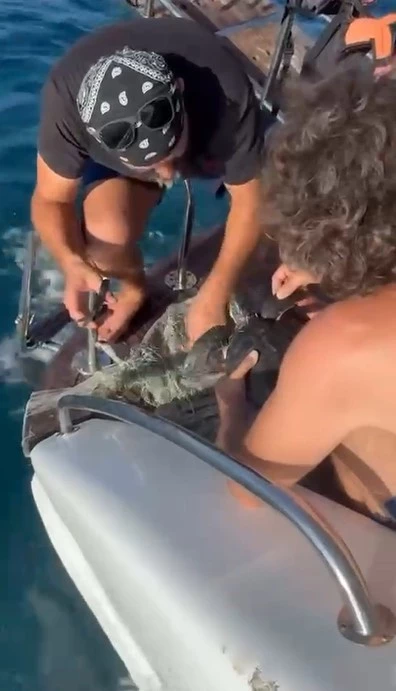 Alanya’da plastik çuvala dolanan yavru caretta caretta balıkçılar tarafından kurtarıldı
