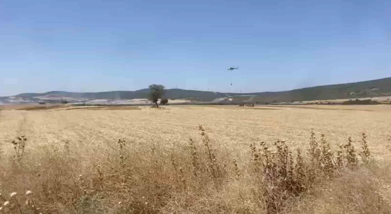 Çanakkale’de tarım arazisinde çıkan yangın kontrol altına alındı
