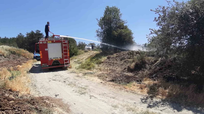Kuru otlar alev aldı, köylüler toprakla söndürdü

