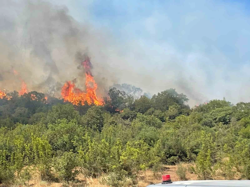 Yenişehir’deki yangının dumanları Bursa’dan görülüyor
